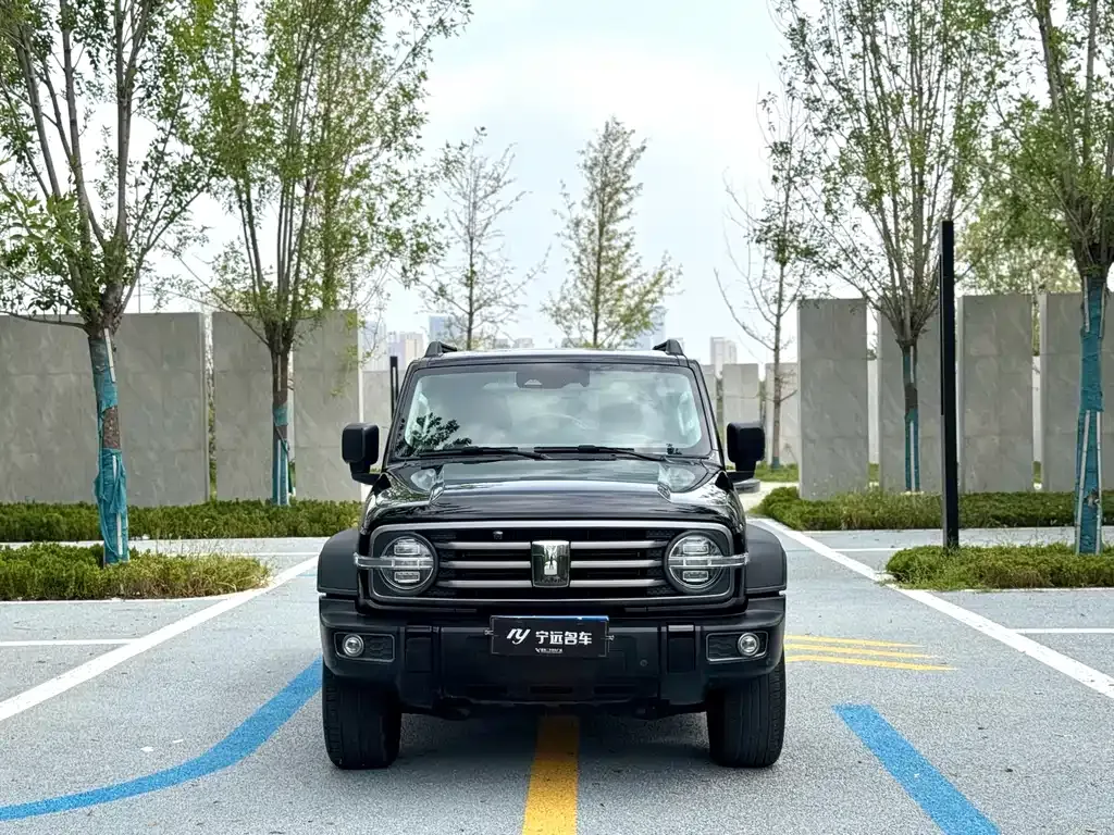 [object Object] Tank 300 2022 из CN, фото 3