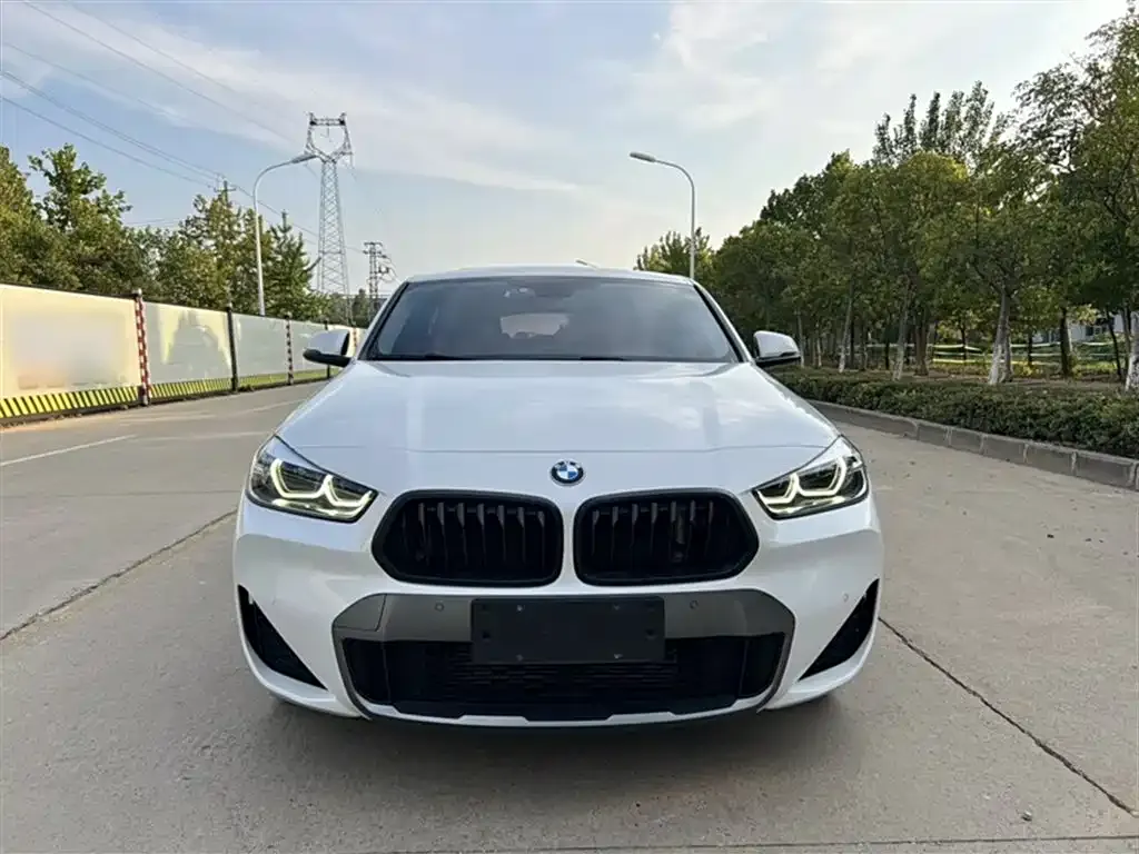 BMW X2 2021 из CN, фото 7