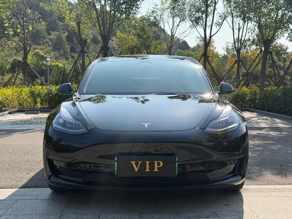 Tesla Model 3 2023 из CN, фото 2