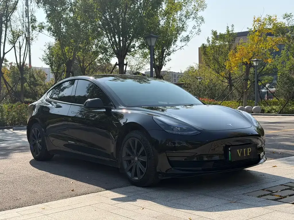 Tesla Model 3 2023 из CN, фото 3