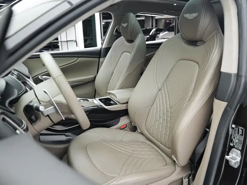 Aston Martin DBX 2021 из CN, фото 6