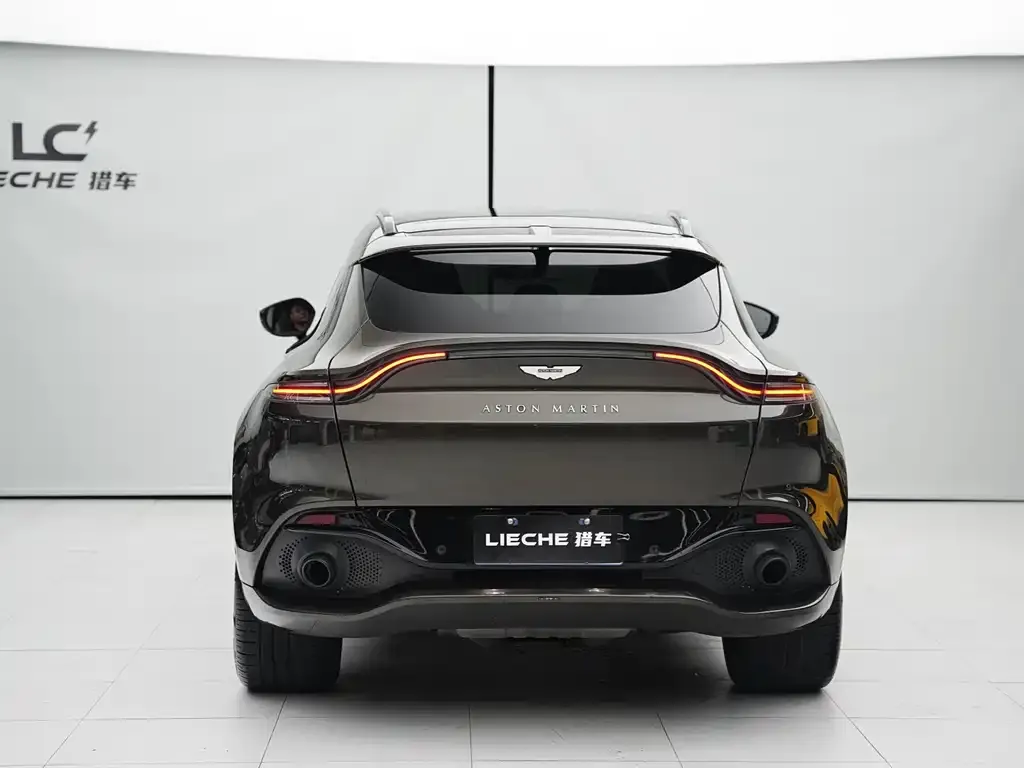 Aston Martin DBX 2021 из CN, фото 9