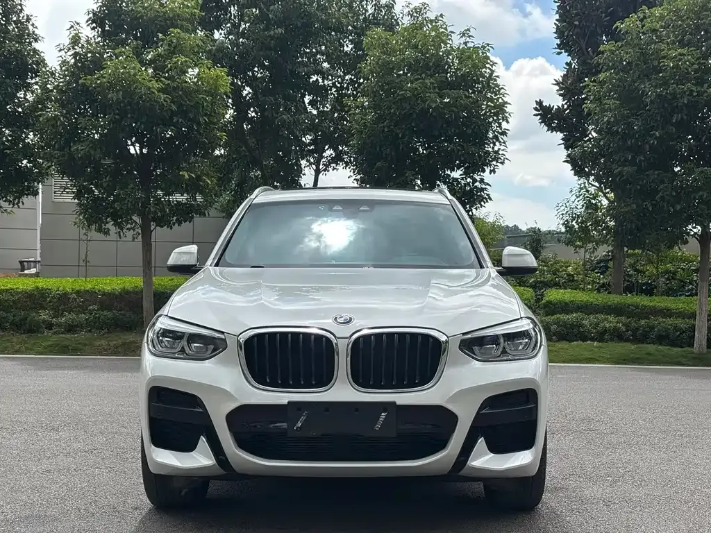 BMW X3 2021 из CN, фото 2