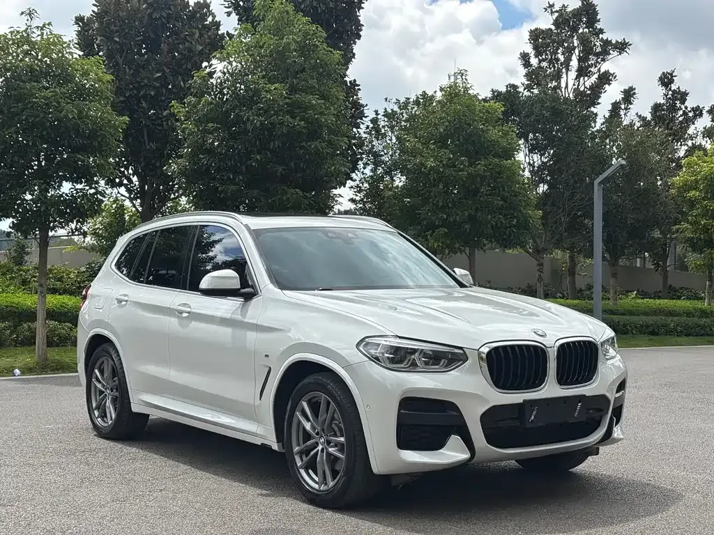 BMW X3 2021 из CN, фото 3