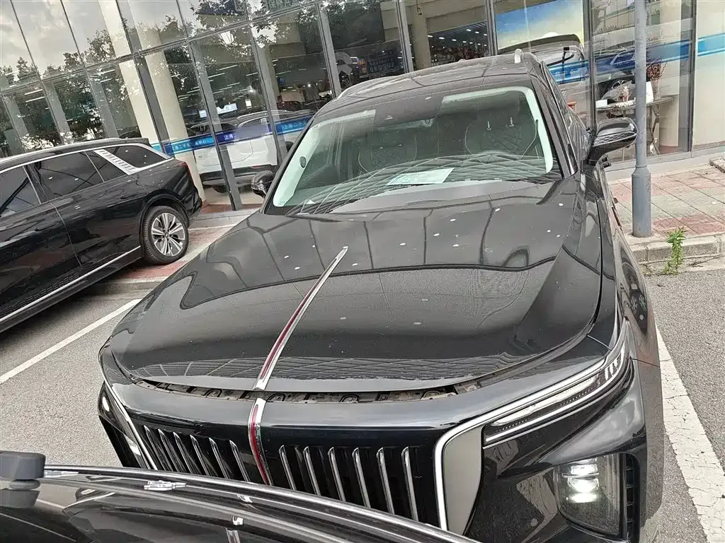 Hongqi E-HS9 2023 из CN, фото 3
