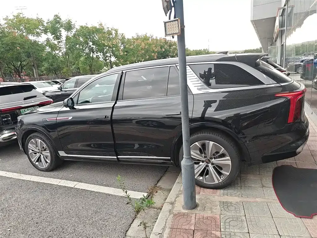 Hongqi E-HS9 2023 из CN, фото 5