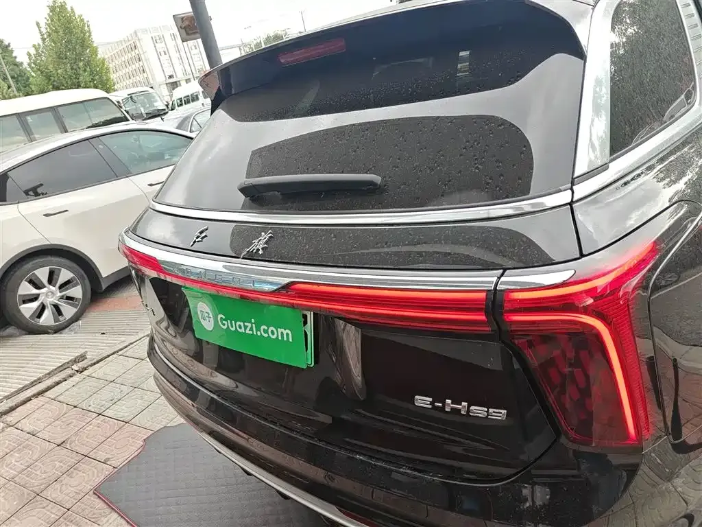 Hongqi E-HS9 2023 из CN, фото 6