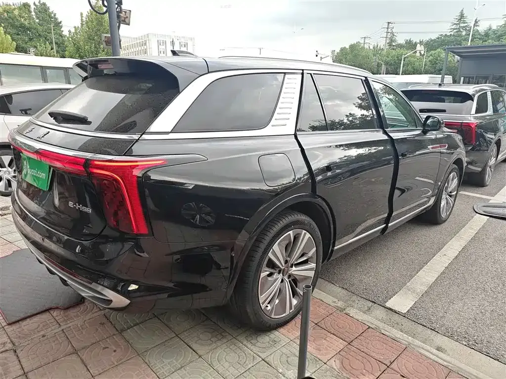 Hongqi E-HS9 2023 из CN, фото 7
