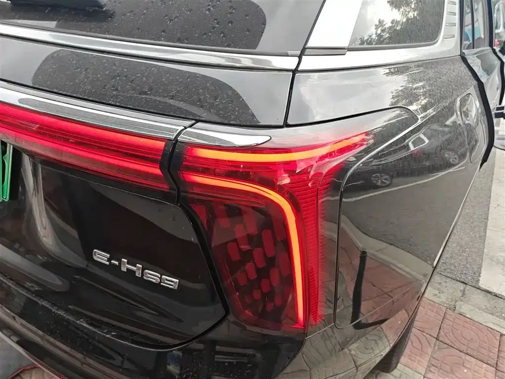 Hongqi E-HS9 2023 из CN, фото 8