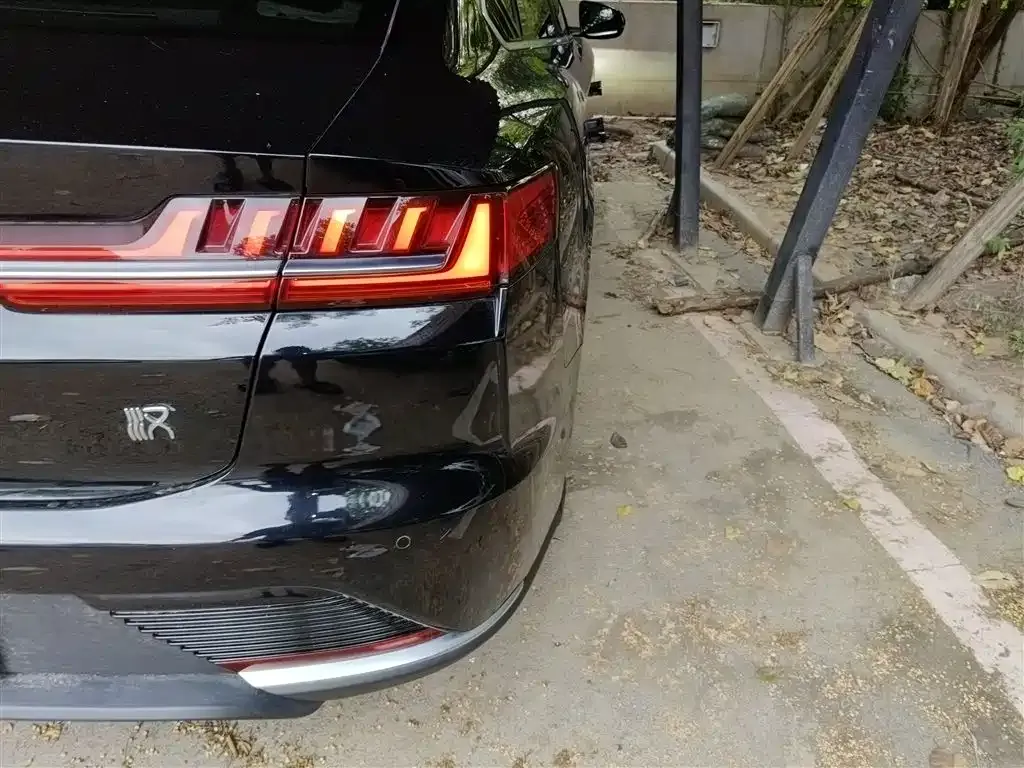 [object Object] Han 2021 из CN, фото 8