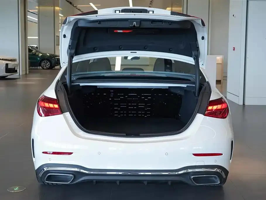 Mercedes-Benz C-Class New Energy — фото 6