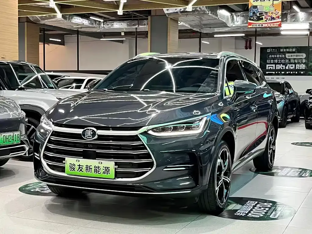 BYD Tang New Energy 2023 из CN, фото 1