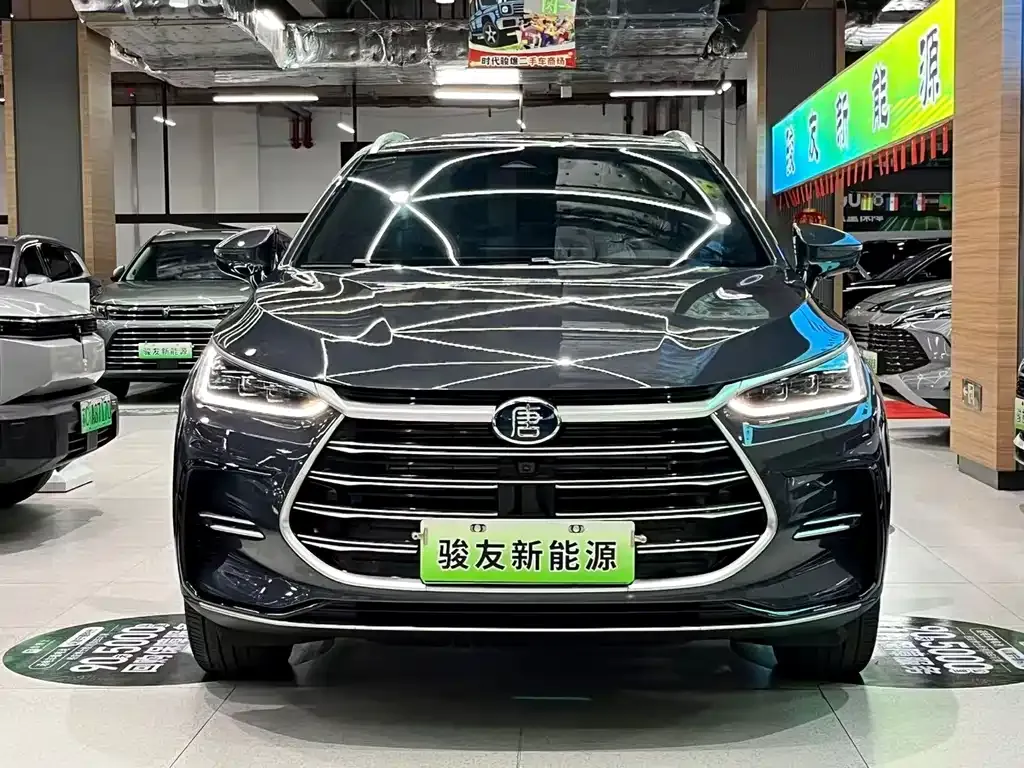 BYD Tang New Energy 2023 из CN, фото 2