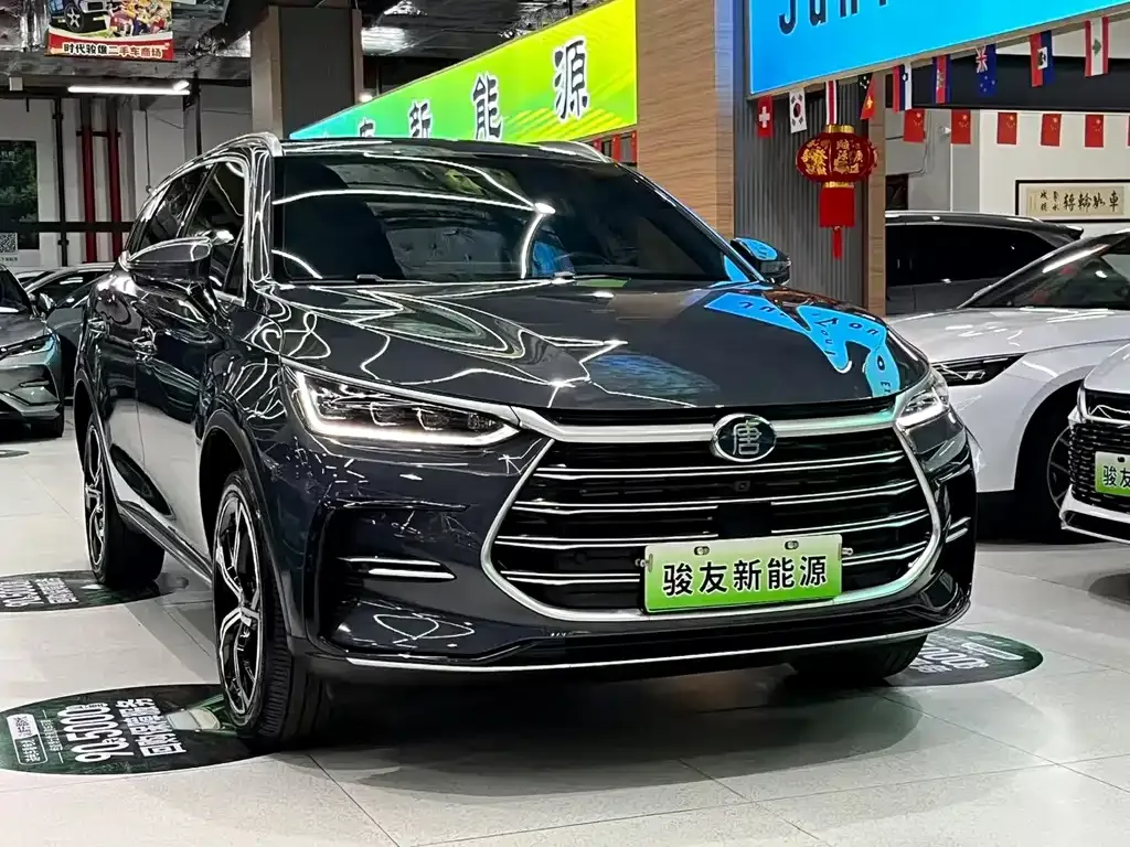 BYD Tang New Energy 2023 из CN, фото 3