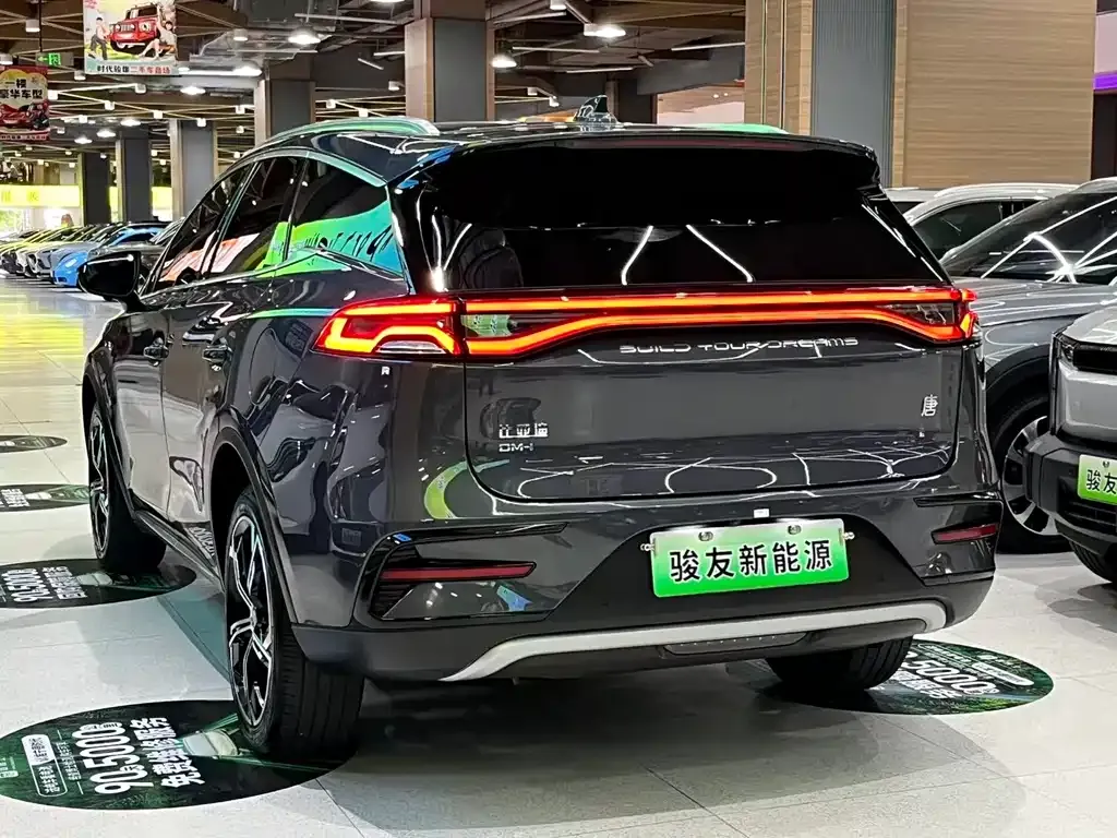 BYD Tang New Energy 2023 из CN, фото 4