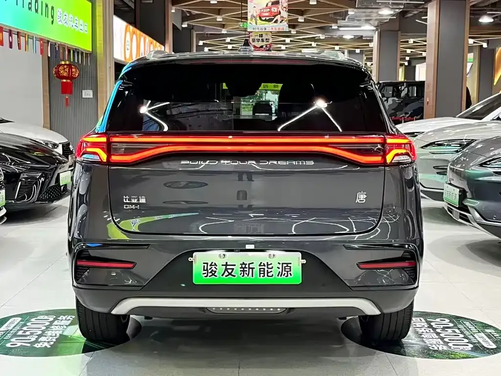 BYD Tang New Energy 2023 из CN, фото 5