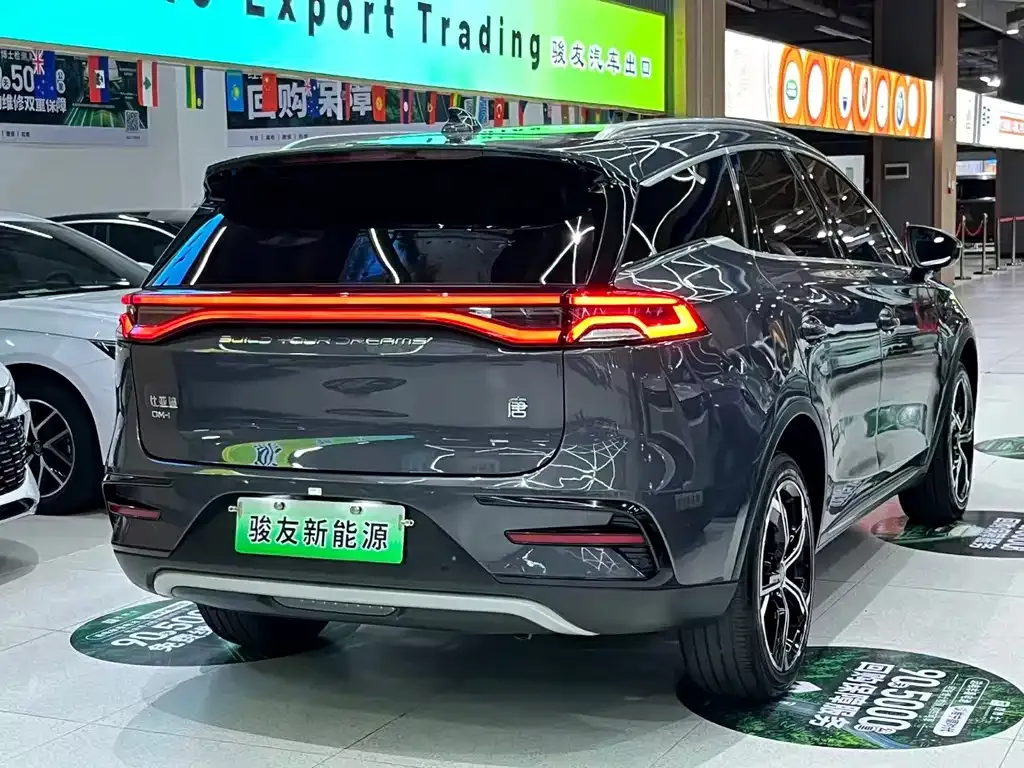 BYD Tang New Energy 2023 из CN, фото 6