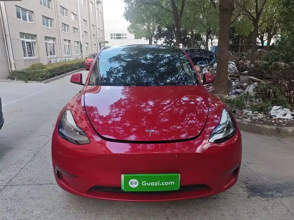 Tesla Model Y 2021 из CN, фото 3