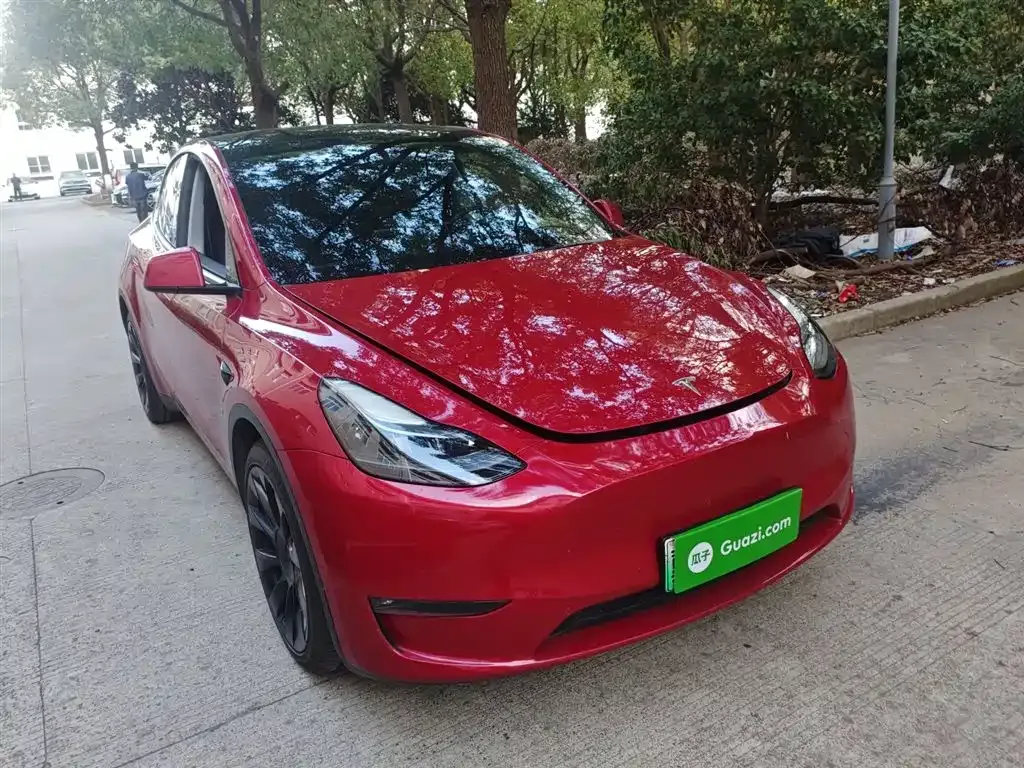 Tesla Model Y 2021 из CN, фото 4