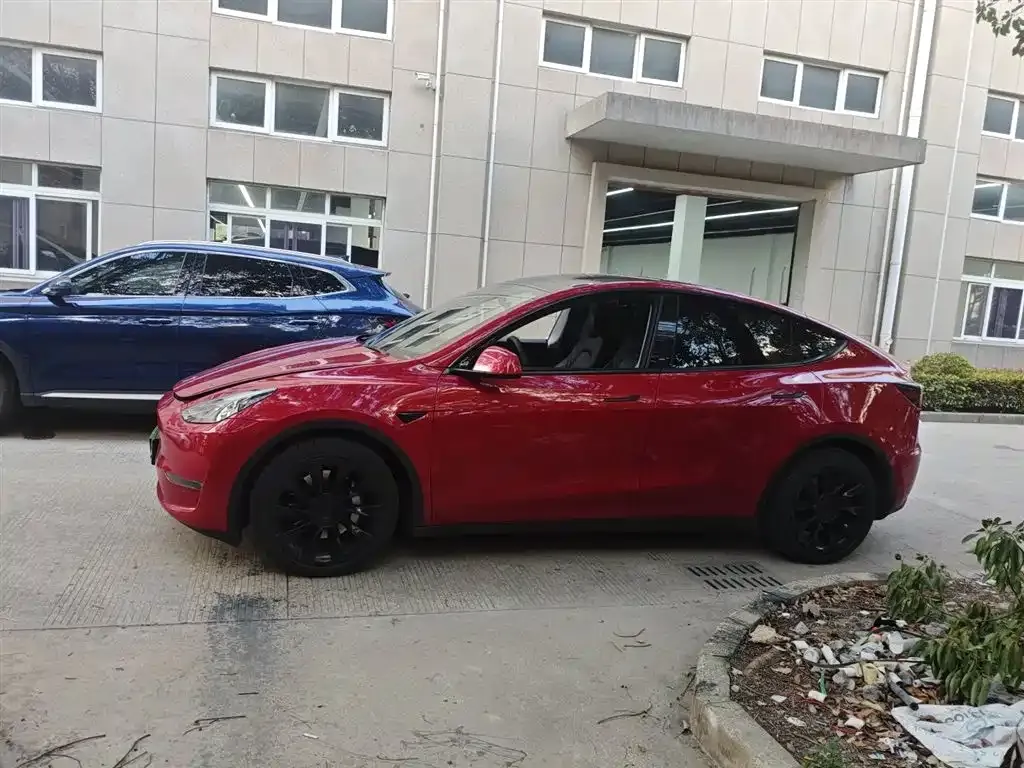 Tesla Model Y 2021 из CN, фото 5