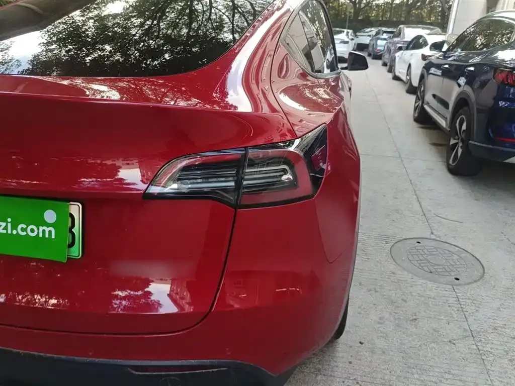 Tesla Model Y 2021 из CN, фото 8