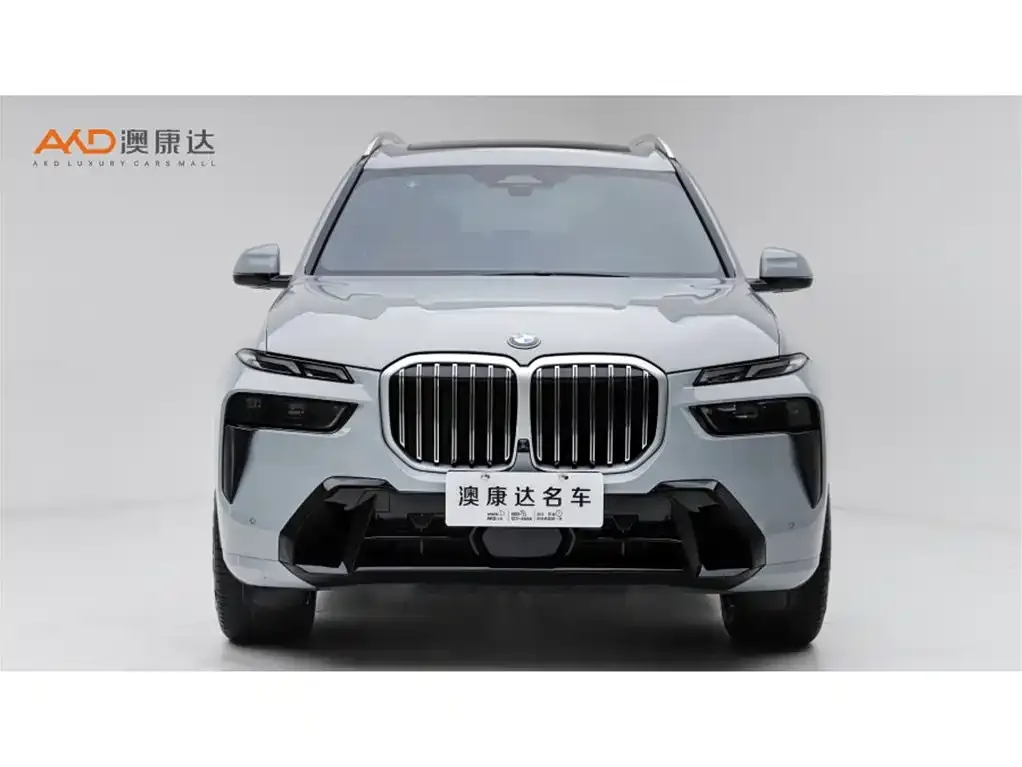 BMW X7 — фото 2