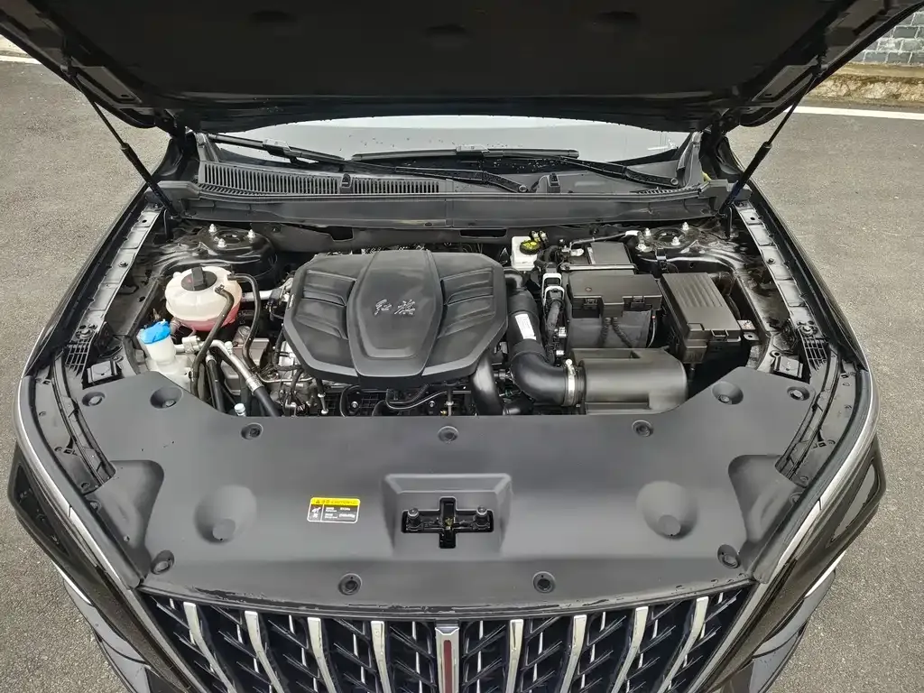 Hongqi HS5 2023 из CN, фото 10