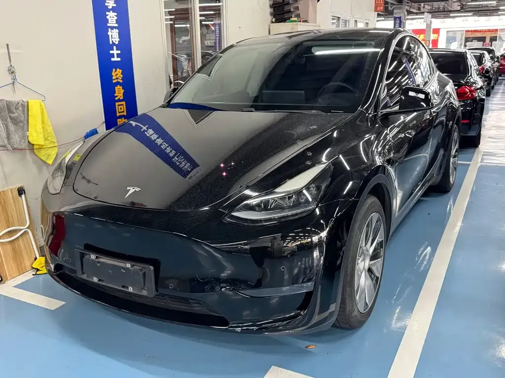 Tesla Model Y 2021 из CN, фото 1