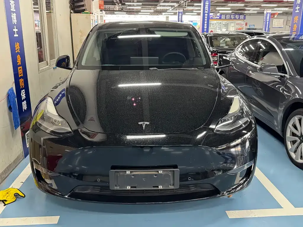 Tesla Model Y 2021 из CN, фото 2