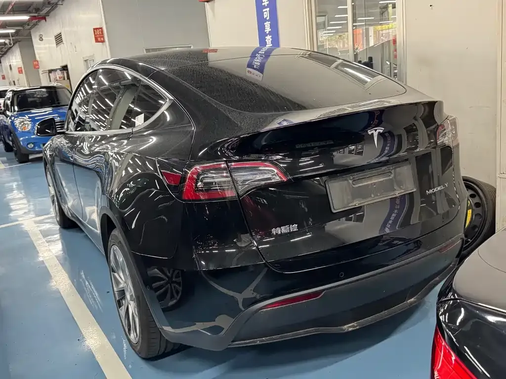 Tesla Model Y 2021 из CN, фото 3