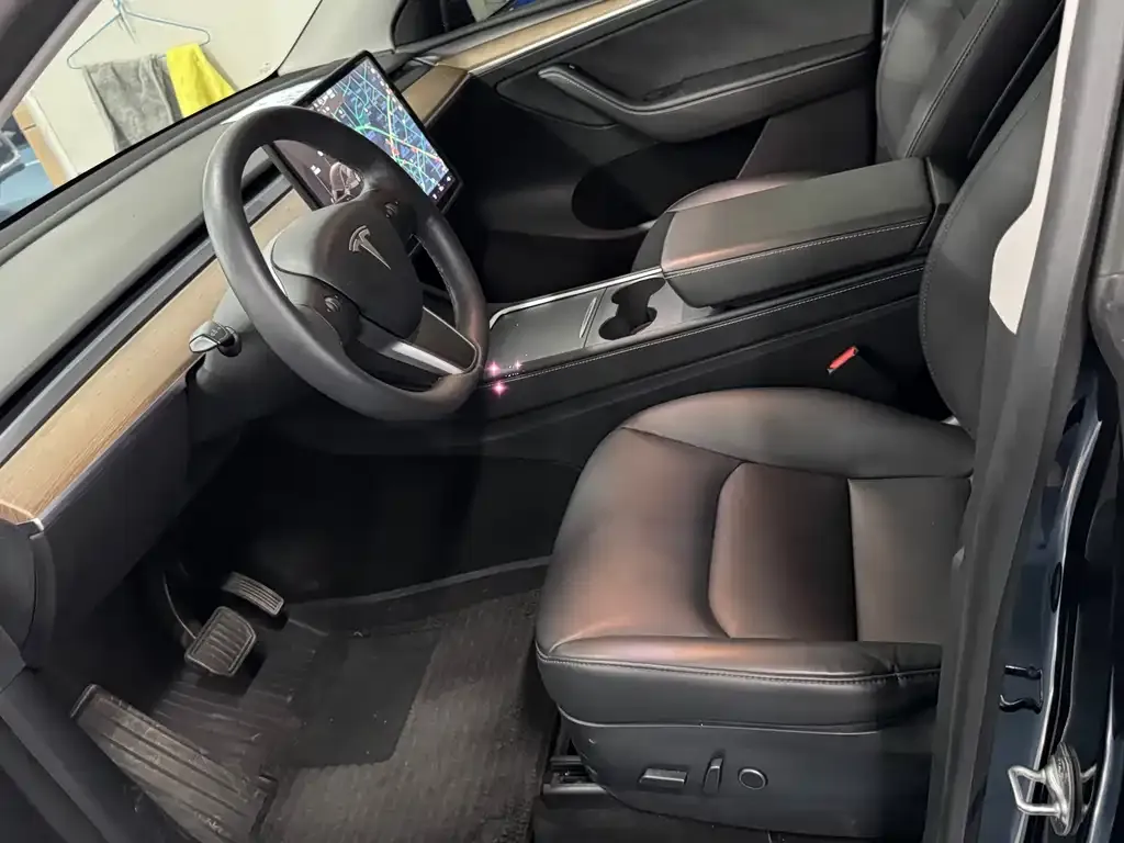 Tesla Model Y 2021 из CN, фото 4