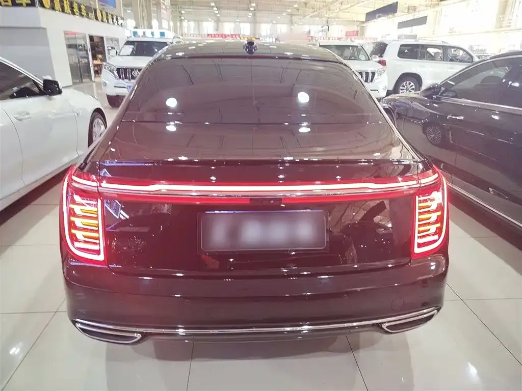 Hongqi H9 2022 из CN, фото 6