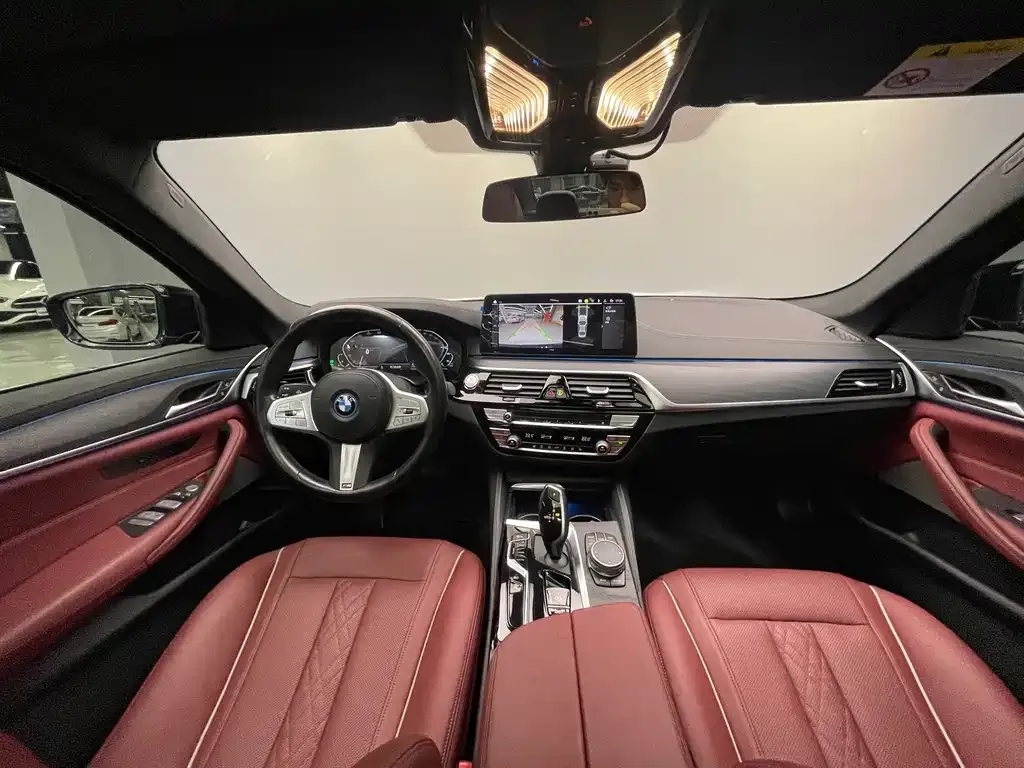BMW 5 Series New Energy 2023 из CN, фото 9