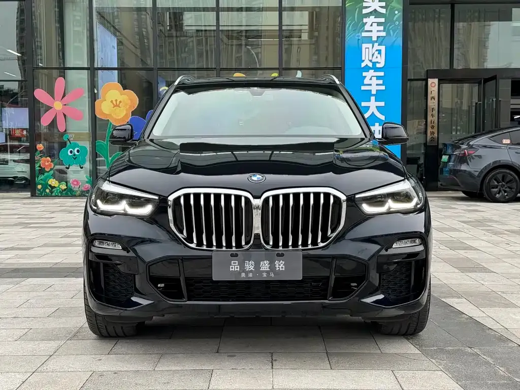 [object Object] X5 (Import) 2021 из CN, фото 2