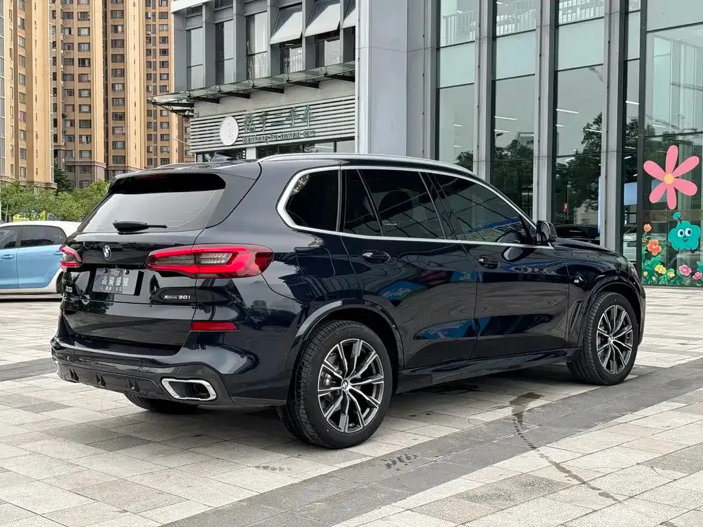 [object Object] X5 (Import) 2021 из CN, фото 4