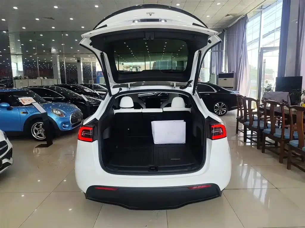 Tesla Model Y 2023 из CN, фото 10