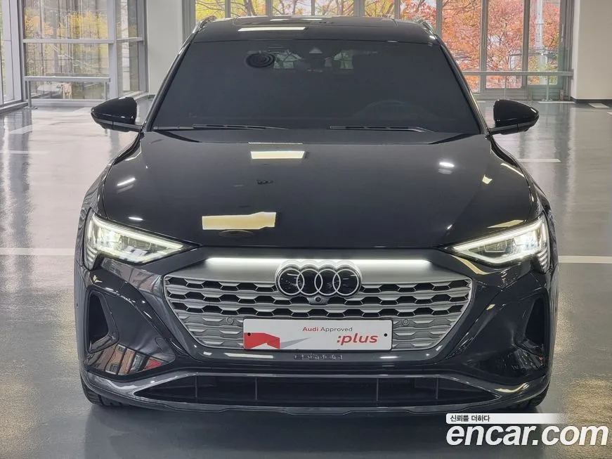 Audi Q8 e-tron 2024 из KR, фото 2