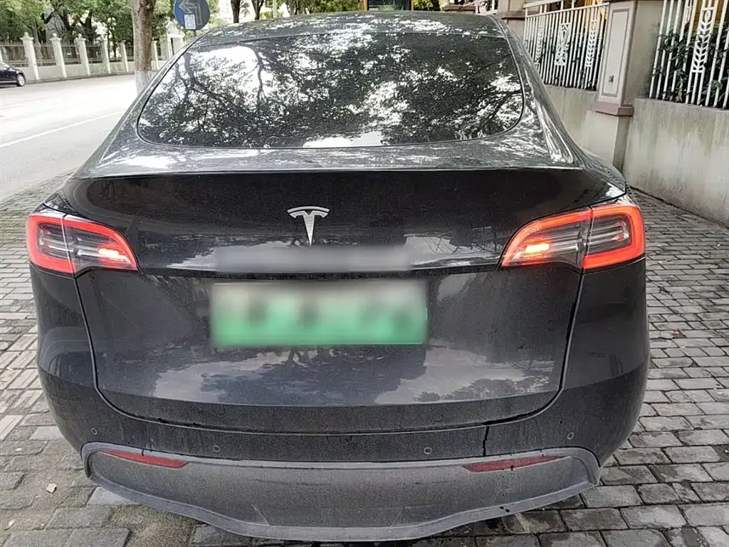 Tesla Model Y 2023 из CN, фото 6