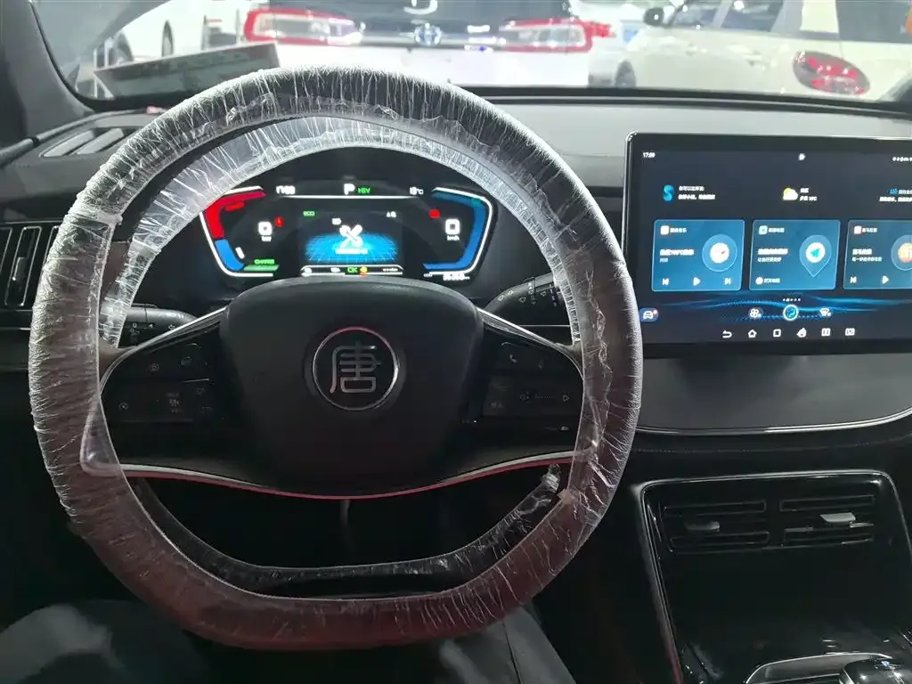 BYD Tang New Energy 2022 из CN, фото 10