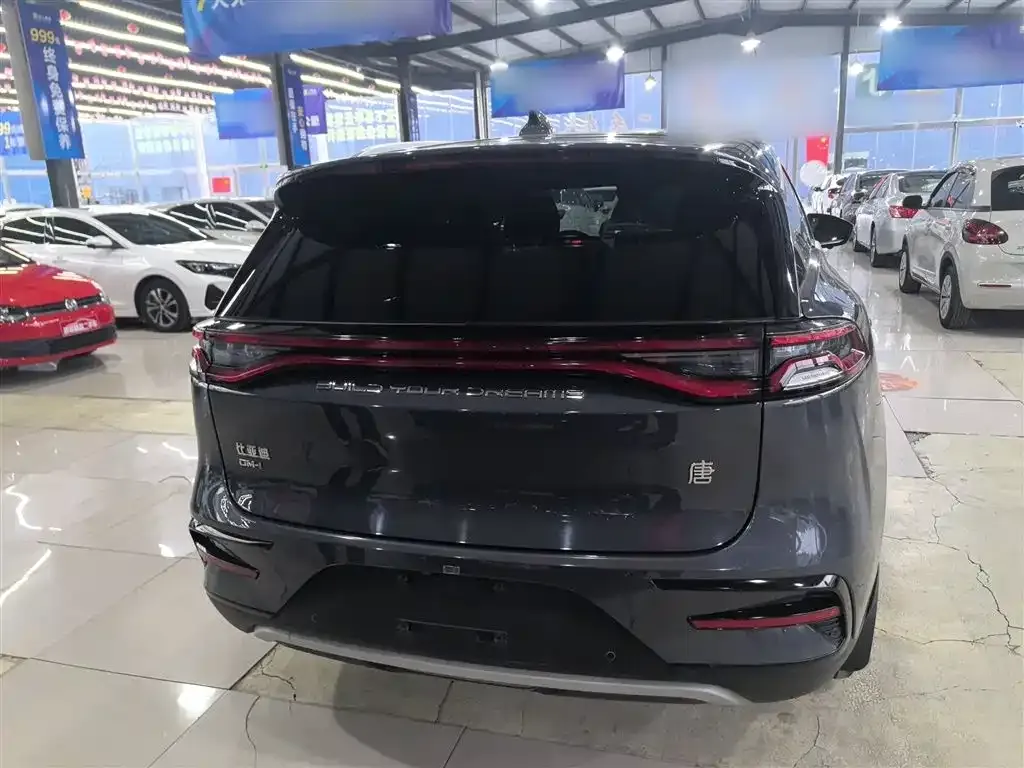 BYD Tang New Energy 2022 из CN, фото 6