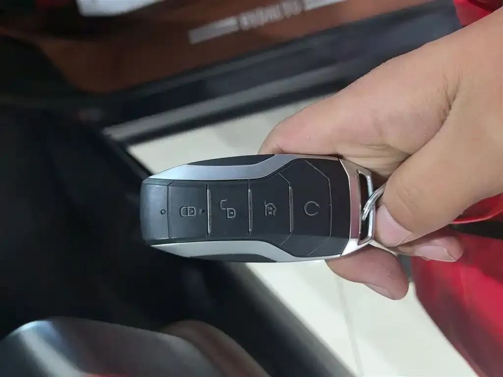 BYD Tang New Energy 2022 из CN, фото 9