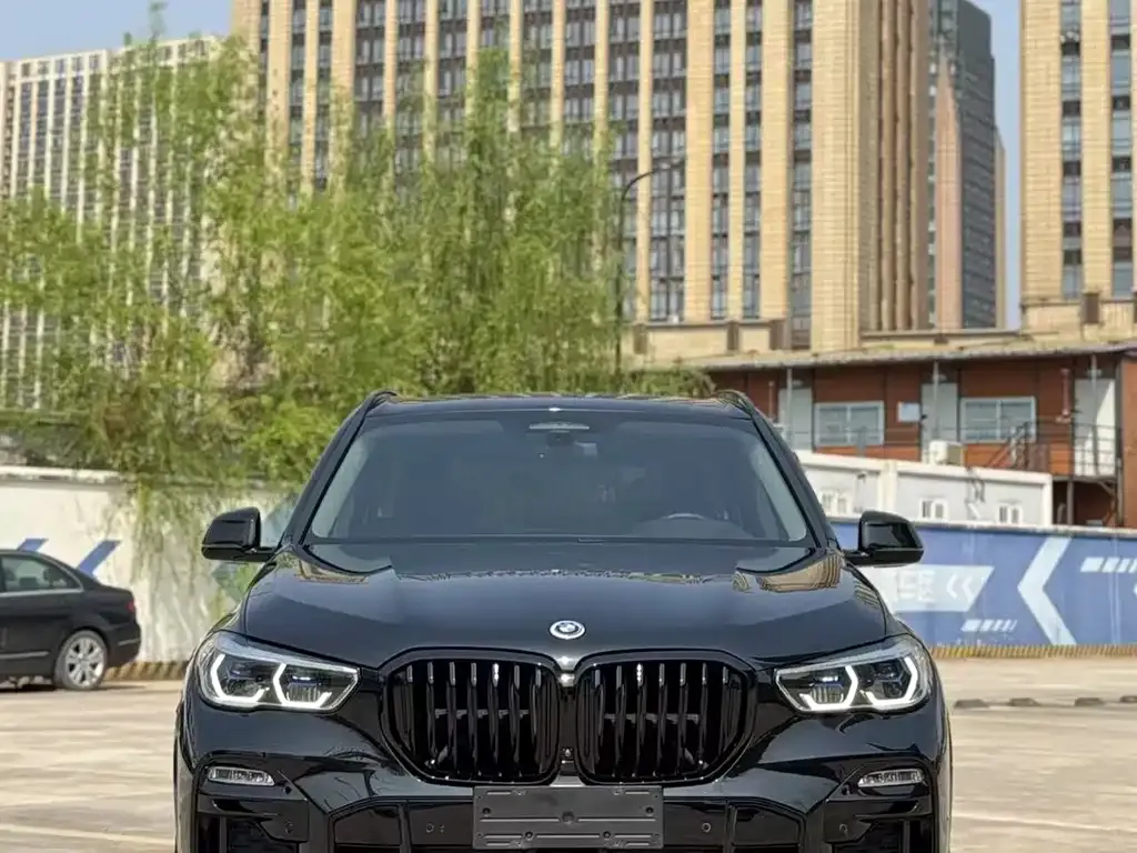 BMW X5 (Import) 2021 из CN, фото 1