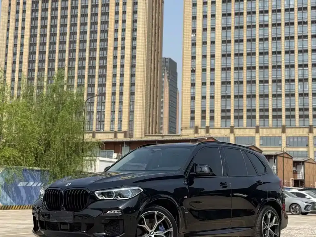BMW X5 (Import) 2021 из CN, фото 2