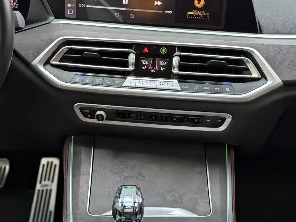 BMW X5 (Import) 2021 из CN, фото 7