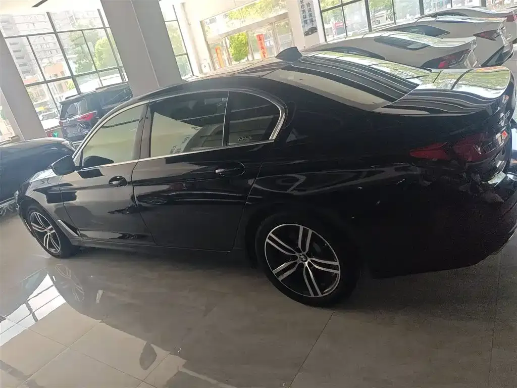 BMW 5 Series 2023 из CN, фото 5