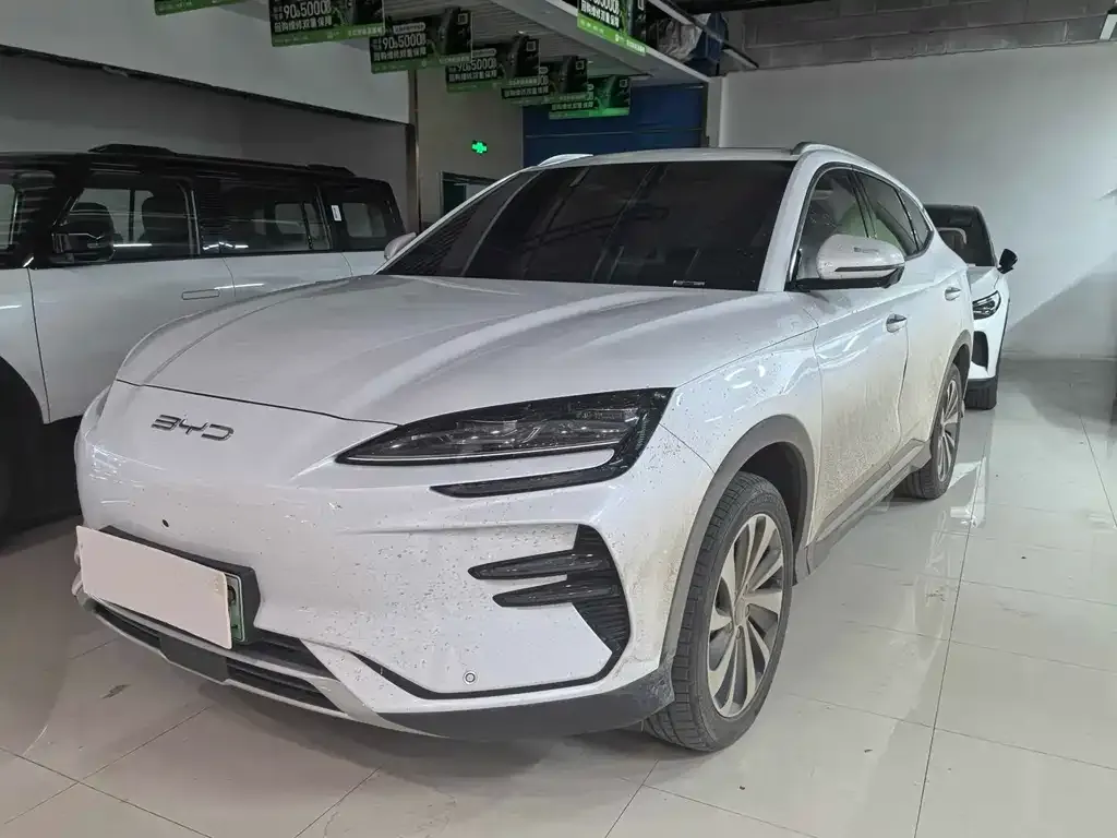 BYD PLUS New Energy — фото 1