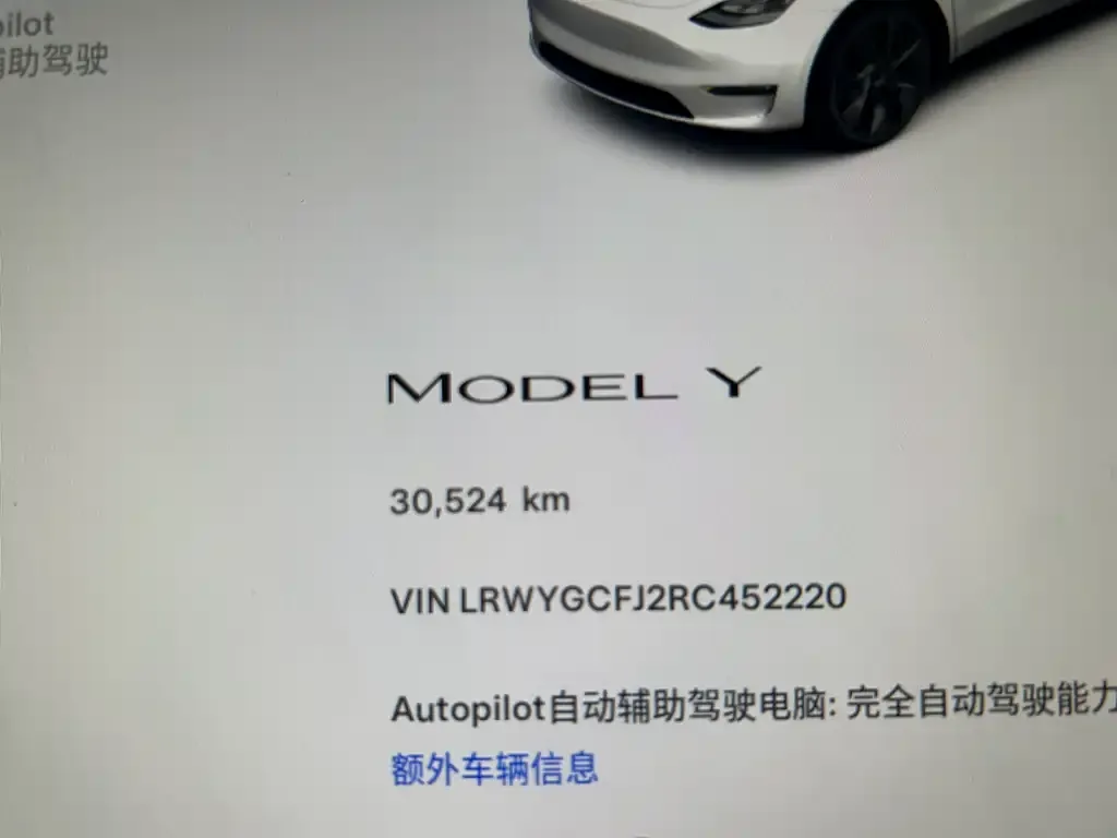 Tesla Model Y 2024 из CN, фото 8