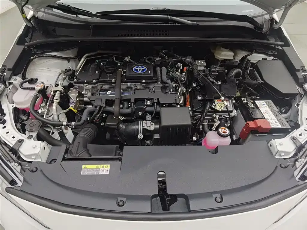 [object Object] Levin 2024 из CN, фото 6