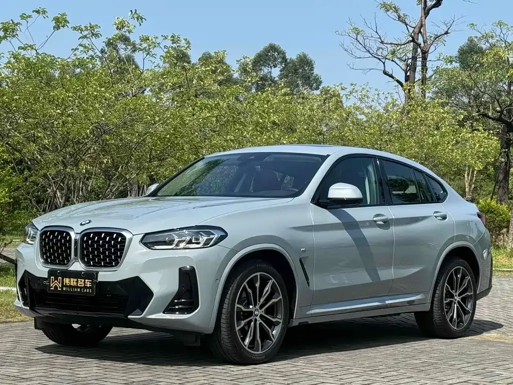 BMW X4 2024 из CN, фото 1