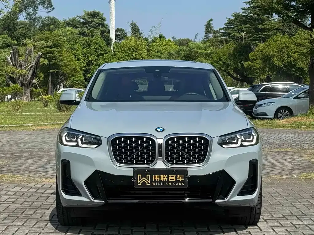 BMW X4 2024 из CN, фото 2